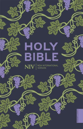Picture of NIV Holy Bible (Hodder Classics)