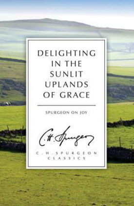 Picture of Delighting in the sunlit uplands of grace