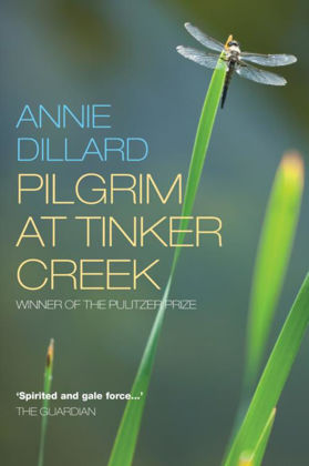 Picture of Pilgrim at Tinker Creek