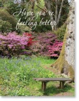 Picture of Woodland garden bench