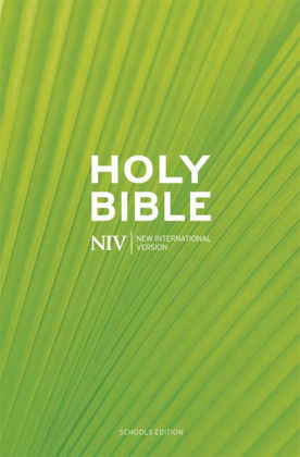 Picture of NIV Schools (20)