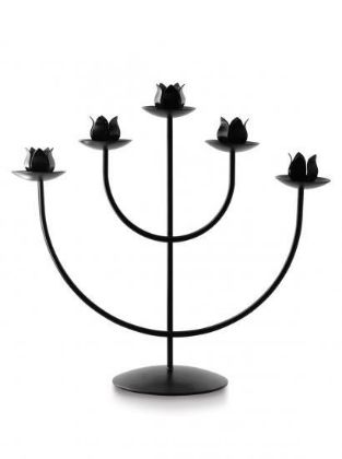 Picture of Advent frame 12'' tulip
