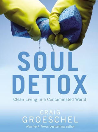 Picture of Soul detox