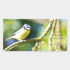 Picture of Little book of hope A