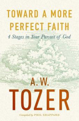 Picture of Towards a more perfect faith