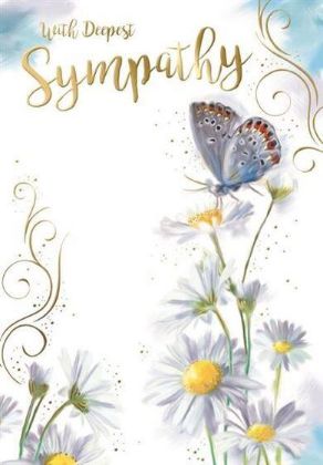Picture of Butterfly on daisies