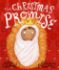 Picture of Christmas Promise The (Tales that tell the truth)
