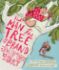 Picture of Man in the tree and the brand new start (Tales that tell the truth)