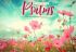Picture of Favourite Psalms 2026 calendar