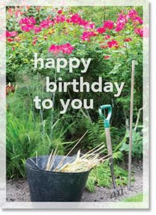 Picture of Rose bed gardening