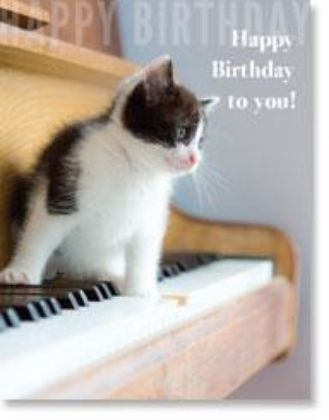 Picture of Kitten on piano