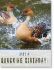 Picture of Splashing ducks