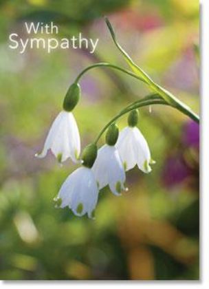 Picture of White snowflake flowers