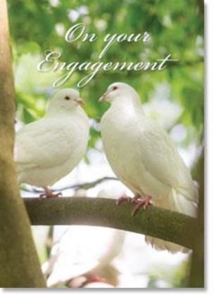 Picture of Two doves