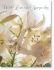 Picture of Soft white lilies