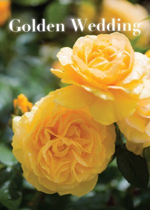 Picture of 50th - Golden roses