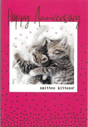 Picture of Smitten kittens
